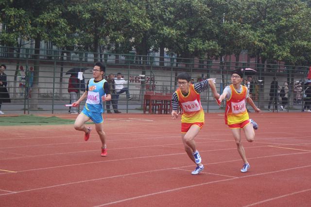 IMG_3513.JPG IMG_3513.JPG